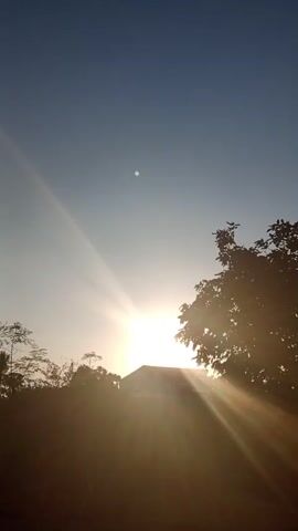 The video shows a rural landscape at sunrise. The sun is low on the horizon, casting long rays of light across the scene. In the foreground, there is a silhouette of a tree. Behind the tree, a house is visible, with the sun shining brightly behind it. In the distance, there are more trees and a clear blue sky. The video is shot from a stationary perspective, and there are no people or animals visible in the frame. The overall mood of the video is peaceful and serene, evoking a sense of the beginning of a new day.