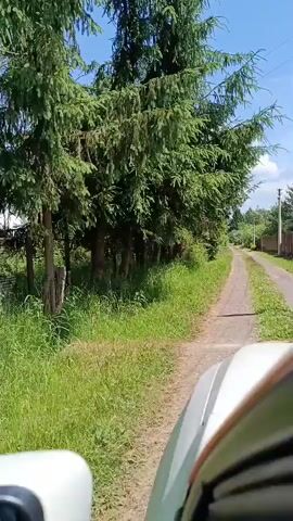 The video shows a view from a car traveling on a dirt road lined with tall evergreen trees on the left and a grassy embankment on the right. The road curves gently to the right. On the left side, beyond the trees, a red-colored structure is partially visible. On the right side, a wooden fence runs along the road, and in the distance, there are more trees and houses. The sky is blue with some clouds. The car's hood is visible in the foreground.