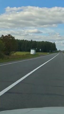 The video is taken from the passenger seat of a car moving along a two-lane asphalt road. The road has a white dashed line on the left and a solid white line on the right. The sky is blue with fluffy white clouds. On the left side of the road, there is a patch of green grass and a dense line of trees. Further down the road on the left, there is a small white and blue bus stop shelter. On the right side of the road, there is a large blue road sign with arrows indicating directions to different cities and highways, including "M8", "E95", "МАГІЛЕЎ", and "ВІЦЕБСК". The sign also shows a stylized route. The road continues straight into the distance, with fields and trees visible on either side. The video captures the movement of the car, the passing scenery, and the road signs.