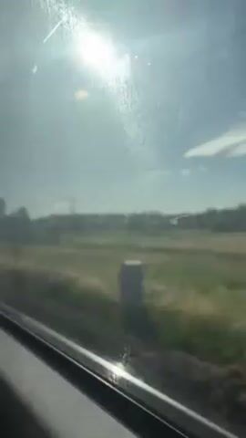The video shows the view from inside a moving vehicle, likely a train, looking out the window at the passing scenery. The scenery consists of fields of dry grass, trees, a fence, and utility poles. The sky is blue with some clouds, and the sun is shining brightly, creating a glare on the window.  The camera is mostly static, capturing the motion of the landscape as the train moves.  The overall impression is one of traveling through a rural area on a sunny day.