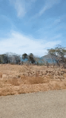 Vehicle captures scenic coastal desert drive on sunny afternoon