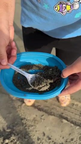 A person's hands hold a blue plastic bowl filled with dark sand and debris. A white plastic spoon is used to scoop the contents of the bowl. The person is wearing a blue t-shirt with colorful graphics and dark shorts. The background appears to be a sandy beach.
