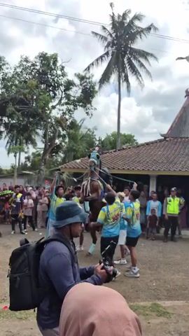The video shows a horse with a rider on its back, surrounded by a group of people. The horse is brown and has a decorated blanket on its back. The rider is wearing a dark outfit and a helmet. The people surrounding the horse are wearing various clothing, including t-shirts with colorful designs, shorts, and pants. Some of them are holding ropes or sticks, and appear to be guiding or controlling the horse. There is a crowd of spectators in the background, watching the event. The environment appears to be an outdoor area, possibly a village or a rural setting, with trees and buildings visible in the background. The sky is cloudy. The overall scene suggests a performance or a traditional event involving horses and people.