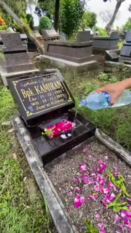 The video shows a person tending to a grave in a cemetery. The grave is made of black marble with a gold inscription in Arabic and text including "Bpk. Kamiran," dates "31-12-1955," "25-11-2022," and "Jum'at Kliwon." The grave is bordered by concrete.  The person is pouring water from a plastic bottle onto the grave and arranging pink flower petals, some of which are already scattered on the grave and the surrounding area. A green and pink woven basket and a plastic bag with flower petals are on the grass nearby. Other graves can be seen in the background, along with trees and grass. The person in the video is wearing a gray shirt with "KOREA" written on it and blue jeans. The video is taken at a medium distance with slight camera movement.