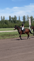Horse riding competition draws crowds in Sloboda, Russia