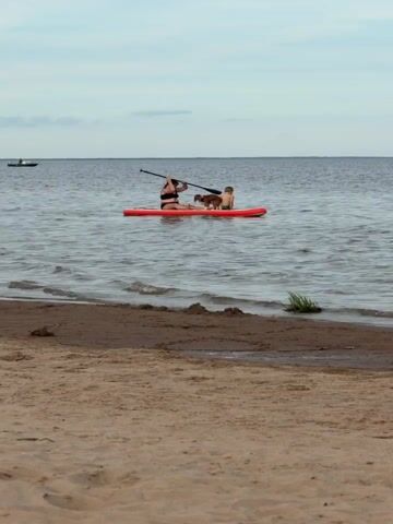 In this media file, a young girl, a young boy, and a dog are on a paddleboard in a body of water. The girl is in the front, holding a paddle and appears to be steering. The boy is sitting behind her, and the dog is in between them. They are all on a red inflatable paddleboard.

The scene is a calm body of water, likely a lake or a large river, with a sandy shore in the foreground. The sky is overcast, suggesting a cloudy day, possibly in the late afternoon or early evening. The overall mood seems relaxed and peaceful, with the individuals enjoying their time on the water. The location is identified as Ondvor, Russia. There is no visible text in the media file.