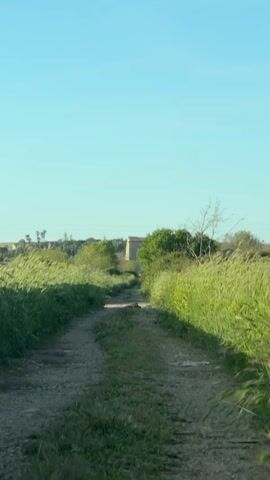 The video shows a dirt road lined with tall green grass under a clear blue sky.  The road leads toward a building in the distance. Some trash is visible on the road.  The camera appears to be moving forward, following the road.