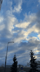 Krasnoyarsk resident documents daily life with Corgi dog April 8