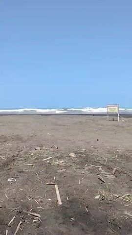 A wide shot shows a dark sand beach under a clear blue sky. Waves are breaking in the distance. A white sign with yellow text is visible on the right side of the frame. Debris, including sticks and leaves, is scattered across the foreground. The camera is static.