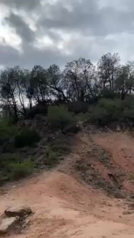 The video shows an overcast landscape. A dirt road or pathway leads toward an eroded, reddish hill, topped with trees. As the camera pans to the right, the landscape transitions to show more trees and vegetation, and a mountain range becomes visible in the background. The sky remains cloudy throughout the video.