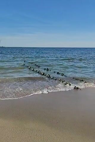 The video shows a calm ocean scene with a sandy beach in the foreground. A line of weathered wooden posts, partially submerged in the water, extends from the shore into the sea. The water is a clear blue-green, with gentle waves lapping at the sand. The sky is a bright, cloudless blue. The perspective is low, looking out towards the ocean.