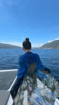 Morning coastal documentation captures Montenegro seascape and bird nest