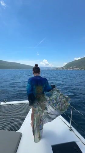 Morning coastal documentation captures Montenegro seascape and bird nest