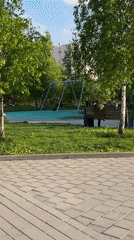 Everyday moments captured across Saint Petersburg neighborhoods