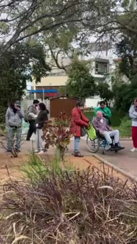 The video depicts a gathering of people in a park-like setting. Initially, a group stands near a paved pathway, including an individual in a wheelchair being attended to by another person. As the camera pans, it reveals a larger group of people standing and looking at their phones, possibly waiting for something or someone. A dog is also visible among them. The environment includes trees, grassy areas, and a building in the background. Overall, the scene suggests a casual gathering or an event in a public park.