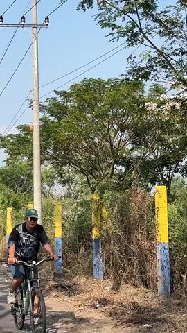 A man wearing a black and white patterned t-shirt, dark shorts, and a green baseball cap rides a green bicycle on a dirt road. He is wearing sunglasses. The road is lined with dry grass and foliage on the right side. There are several yellow and blue painted posts along the right side of the road. Behind the posts, there is dense green foliage and trees. A utility pole with wires runs vertically on the left side of the frame. The sky is clear and blue.