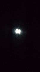 Moon tracked through a dark sky, halo and all
