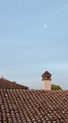 Domestic cat documented through night in Viadana, Italy home