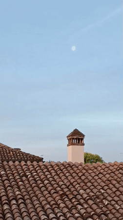 Domestic cat documented through night in Viadana, Italy home