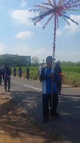 The video shows a group of people walking down a road. In the foreground, a person wearing a blue and white shirt and a black cap is holding a tall, decorated pole that resembles a palm frond with colorful streamers. Behind them, a group of individuals, mostly women wearing hijabs, are walking in the same direction on the road. They appear to be in formation and some are holding small objects, possibly flags or batons. The road is paved and bordered by a dirt shoulder. In the background, there are trees, a building, and a field of green crops under a bright, partly cloudy sky. The overall scene suggests a procession or parade.