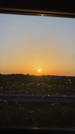 Golden sunset over Ukrainian fields, filmed from the road