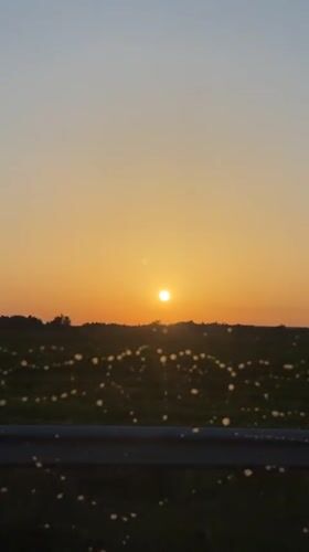 Golden sunset over Ukrainian fields, filmed from the road