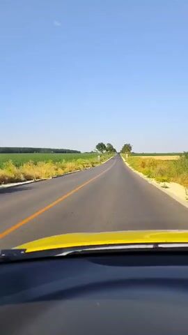 This is a first-person perspective video taken from inside a car driving down a paved road in Odrintsi, Bulgaria. The road has a single solid orange line down the center and a dashed white line on the right edge. The car appears to be a yellow vehicle, as indicated by the yellow hood visible at the bottom of the frame.

The scene is a rural landscape under a clear, bright blue sky, suggesting a sunny day, likely mid-morning or early afternoon due to the strong sunlight. The road is flanked by fields on both sides. The left side of the road features a lush green field, possibly crops. The right side of the road transitions to drier, yellowish-brown vegetation, with some scattered trees and bushes.

Several trees are planted along the right side of the road, forming a line that recedes into the distance. Two round traffic signs are visible on the right side of the road: one appears to be a circular sign with a red border and a white background, possibly indicating a speed limit or restriction. Another sign further down the road also seems to be circular with a red border.

The activity is driving through the countryside. The mood is calm and serene, with the open road and expansive sky conveying a sense of freedom and travel. There are no people visible in the frame. The setting is clearly outdoors and rural.