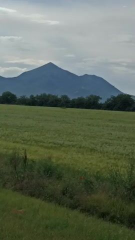The media file captures a panoramic view of a rural landscape under a cloudy sky, suggesting it's likely daytime. The scene is dominated by a large, gently sloping mountain in the background, its peak crowned with a telecommunications tower, indicating a possible strategic location. In the foreground, a vast, green field stretches out, likely a crop or pasture, with a line of trees forming a natural border between the field and the mountain. A dirt road runs along the right side of the frame, with tire tracks visible, suggesting recent vehicle activity. The overall mood is serene and peaceful, evoking a sense of open space and natural beauty. No people are visible in the footage, and there is no visible text. The setting appears to be a remote, possibly agricultural area, fitting with the given location context of Konstantinovskaya, Russia, which is known for its natural landscapes. The weather appears overcast, with diffused light, adding to the tranquil atmosphere.