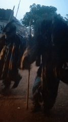 Traditional masquerade ceremony performed outdoors by costumed dancers