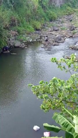A river flows through a rocky, vegetated area. Two individuals are visible by the water's edge. One is standing closer to the left bank, appearing to be washing or interacting with something in the water. The other is seated on rocks further upstream on the right side of the river, possibly fishing or resting. Litter is visible along the river banks and floating in the water. Lush green foliage, including banana leaves, overhangs the scene from the foreground. The water is dark and appears calm in the foreground, with ripples indicative of flow further upriver. The environment suggests a natural, somewhat unkempt setting, possibly a rural or semi-urban area.