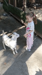 Hands-on animal feeding at a Novosibirsk contact zoo