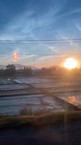 The video captures a sunrise over a rural landscape, likely rice paddies. The sun is low on the horizon, casting a warm glow and creating lens flares that streak across the image. The sky is a gradient of blue and orange, with wispy clouds. In the foreground, there are reflections of the sky and the sun on the waterlogged fields. Silhouettes of trees and distant mountains are visible, along with a few buildings and a utility pole with wires. The camera appears to be moving, possibly from a vehicle, as indicated by the slight motion blur and the way objects pass by. There are no people visible in the frame.