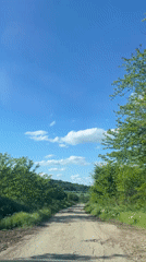 Rural road journey documented through green countryside landscape