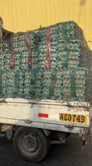 Overloaded egg truck stopped for inspection in Peru