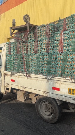 Overloaded egg truck stopped for inspection in Peru