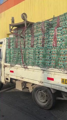 The video captures a white pickup truck stopped on a street, likely undergoing a traffic stop or inspection. The truck is heavily overloaded with numerous stacks of green egg cartons, each containing brown eggs, secured by a green net and brown straps that extend high above the vehicle's roofline. A yellow license plate, partially visible, displays the characters "AEO 74".

From 0:02, a police officer is seen standing next to the driver's side of the truck, facing the driver. The officer wears a white helmet with "POLICIA" written on it, a black jacket, and a reflective green vest emblazoned with "POLICIA TRANSITO". The driver, an older man with white hair, is visible through the open window of the truck, engaging with the officer. The scene takes place during daylight hours, alongside a building with yellow and orange walls.
