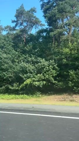 A car is driving on a road next to a dense forest. The sky is blue with a few white clouds. The trees are green and lush, with some tall pine trees interspersed among the deciduous trees. The road has a white line marking the edge of the lane. The driver's side mirror is visible in the lower right corner of the frame, reflecting the trees and the road. The interior of the car, including the dashboard and a speaker grille, is also visible in the lower portion of the frame. The video appears to be taken from the perspective of a passenger or the driver of the car. The scene is peaceful and serene, suggesting a pleasant drive through nature.