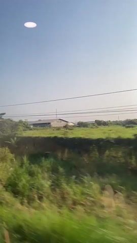 The video shows a view from a moving vehicle, likely a train, of a landscape of green fields and vegetation. In the distance, there are buildings and utility poles with power lines stretching across the sky. The sky is clear and blue, with a bright, round light appearing in the upper center of the frame. The camera is in motion, causing blurring of the foreground vegetation.