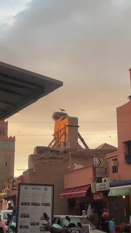 The video shows a stork standing in its nest atop a crumbling brick structure, likely in an urban setting. The sky is a pale orange, suggesting either sunrise or sunset. Other buildings, painted in hues of pink and orange, surround the structure. A menu board and parked motorcycles are visible in the foreground. People walk along the street in front of the buildings.