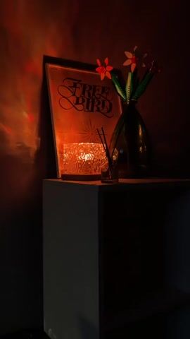 A dimly lit close-up shot focuses on a white shelf unit. On the shelf, there is a framed poster with the words "FREE BIRD" in large, stylized lettering. The poster is illuminated from behind, casting an orange glow and creating a light pattern on the wall. To the left of the poster, a glass candle holder with a textured surface contains a lit candle, further contributing to the warm lighting. To the right of the candle holder, there is a small glass bottle with reeds, likely an air freshener. Behind these items, a dark green glass vase holds a few objects with red petal-like tops, resembling flowers, and green stems. The background is dark and out of focus. The overall impression is one of a cozy and artistic corner.