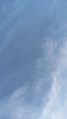 Here is a description of the video:

The video shows a view of a blue sky with wispy clouds. At the beginning of the video, a crescent moon is barely visible.  There's the sound of a child speaking in the background. At the top left of the screen, leaves from a tree appear.
