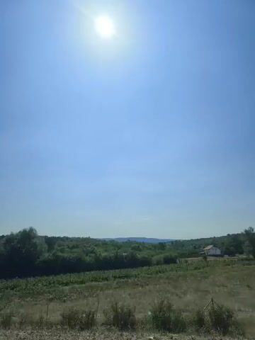 The video shows a bright, sunny day with a clear blue sky and the sun shining directly down. In the foreground, there is a grassy field with some dry patches and a wire fence. In the middle ground, there is a line of trees and a field of crops, possibly vineyards. In the background, there are rolling hills covered in trees and a few buildings, including a house with a red roof and a water tower. The camera appears to be moving slightly from left to right, panning across the landscape. There are no people or animals visible in the video. The overall impression is one of a rural landscape on a warm summer day.