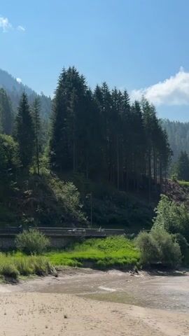 This video captures a serene natural landscape in Soraga di Fassa, Italy, under a clear blue sky with scattered white clouds, suggesting a pleasant daytime weather. The scene unfolds with a focus on a tranquil body of water, appearing to be a lake or a wide river, with a sandy bank in the foreground. The water's surface is gently rippling, reflecting the sunlight.

Behind the water, a lush green embankment rises, densely covered with tall, dark green coniferous trees. The trees form a thick forest that climbs the side of a mountain, creating a striking contrast between the dark foliage and the bright sky. A paved road with a low wall runs along the base of the embankment, with a few cars or vehicles visible, suggesting a scenic route. A lamppost stands near the road. The background reveals more rolling hills and mountains, also covered in forests, hinting at a mountainous region.

In the latter part of the video, a woman enters the frame, walking along the sandy bank of the water. She is wearing a black tank top and black pants, and appears to be holding a smartphone in her right hand. She is looking towards the left side of the frame, and her body language suggests a relaxed and perhaps contemplative mood as she enjoys the scenery. The presence of the woman adds a human element to the otherwise untouched natural environment.

The time of day is clearly daytime, with the sun casting shadows and illuminating the landscape. The overall atmosphere is peaceful and idyllic, showcasing the beauty of the Italian Dolomites. There is no visible text in the video.