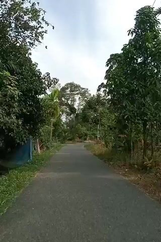 The video shows a paved road winding through a lush green rural area with trees and vegetation on both sides. The sky is partly cloudy. The camera appears to be mounted on a vehicle moving along the road. There are no people or animals visible in the video. The scene suggests a peaceful, natural environment.