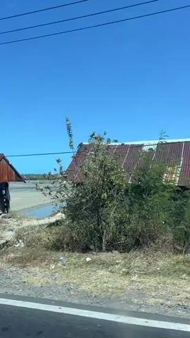 A video captured from a moving vehicle shows a rural roadside scene under a clear blue sky. Vegetation, including trees and shrubs, dominates the landscape. Several structures are visible, including a small building with a rusted metal roof and bamboo siding, a larger shed-like structure with a corrugated metal roof and exposed wooden supports, and what appears to be a partially constructed or dilapidated shelter. Utility poles and wires are present. The ground is covered in dirt and gravel. The overall impression is one of a somewhat undeveloped or rural environment.