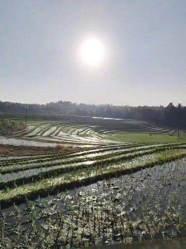 Kerambitan, Indonesia