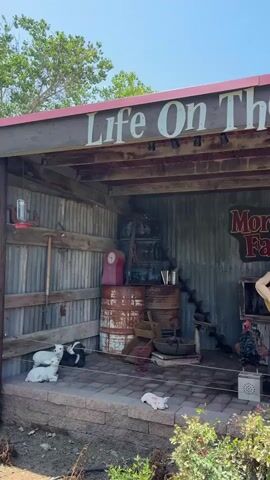 This is a medium shot of an outdoor display, likely at a farm attraction, under a wooden awning with a red trim. A sign above reads "Life On The Farm" in large white letters. The wall behind the display is corrugated metal. In the center of the display, a mannequin of a man with blond hair, wearing blue jeans and a tan shirt, is playing a guitar and stands next to a chicken mannequin on a white pedestal. Another chicken mannequin is on the ground. To the right of the guitarist mannequin, a mannequin of a woman with long dark hair, wearing a purple shirt and blue jeans, sits on a stool. A golden retriever dog mannequin is lying down in front of her. A sign to the right of the woman reads "Mortimer Farms" in red lettering with a pumpkin and corn stalk graphic. Various farm-related objects are present, including a large rusty barrel with a red clock on it, a rusty hand plow, and other metal equipment. On the left side of the display, white lamb mannequins and a black goat mannequin are positioned on a stone ledge. A small white piglet mannequin lies on the brick ground in front of the display. Various plants and bushes are visible in the foreground and background. The sky is blue and clear.