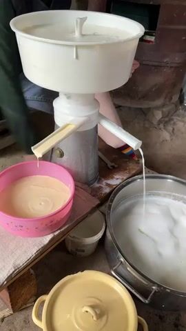 The video shows a close-up view of a cream separator in operation, likely in a rural setting in Kashka-Suu, Kyrgyzstan. The primary object is a white and silver cream separator, with a large white basin at the top filled with a milky liquid. Two spouts extend from the lower part of the machine. One spout, on the left, is dispensing a thicker, yellowish cream into a pink bowl. The other spout, on the right, is releasing a thinner, white liquid (skimmed milk) into a large stainless steel pot. A person's hands are visible operating the crank mechanism of the separator, suggesting manual operation.

The setting appears to be rustic, with visible wooden structures and a large, dark cylindrical object in the background that could be a wood-fired stove or a storage barrel. The ground is uneven and appears to be dirt or stone. There are other containers in the foreground, including a yellow lidded pot and a small white bucket. A striped fabric, possibly a piece of clothing, is visible near the right spout.

The activity is the process of separating cream from milk using a mechanical device. This is a traditional method for producing dairy products. The lighting suggests it could be daytime, but without any windows or clear indications of the sky, the time of day is not precisely determinable. There are no visible signs of text in the video. The overall impression is one of traditional dairy farming practices.