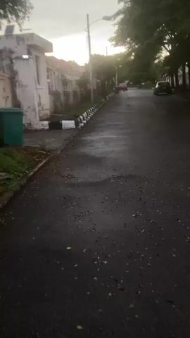 The video captures a quiet street scene, likely in a residential neighborhood. The time of day appears to be either early morning or late evening, characterized by soft, diffused light, with the sky looking bright but not midday. The asphalt road is wet, suggesting recent rain or dew, and scattered with fallen leaves.

On the left side of the street, there's a white building with a dark roof and multiple windows. Adjacent to it, a curb is marked with alternating black and white painted blocks, common for road demarcation or traffic calming. A green waste bin is visible near the curb at the beginning of the video. Further down the street, more buildings are visible behind fences.

Lush green trees line both sides of the street, their foliage contributing to the serene atmosphere. In the distance, a red car is seen moving or parked on the road, and another dark-colored car is parked further ahead on the right. A streetlight pole stands on the left side of the road.

The camera moves slowly forward, panning down the street, offering a continuous view of the tranquil surroundings. No people are visible in the video, enhancing the sense of peaceful solitude. The setting, with its wet road and verdant trees, suggests a typical residential area in Gosa, Nigeria. There is no visible text.