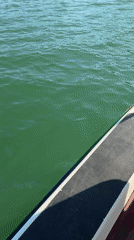 Recreational boating observed on Lake Abrau, Russia